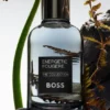BOSS The Collection Energetic Fougère eau de parfum 100ml BOSS The Collection Energetic Fougère eau de parfum 100ml