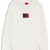 Gradient-logo hoodie in cotton terry