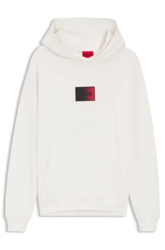 Gradient-logo hoodie in cotton terry