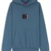 Gradient-logo hoodie in cotton terry