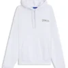 Logo-print hoodie in cotton terry