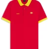 Paddy polo shirt with country flag